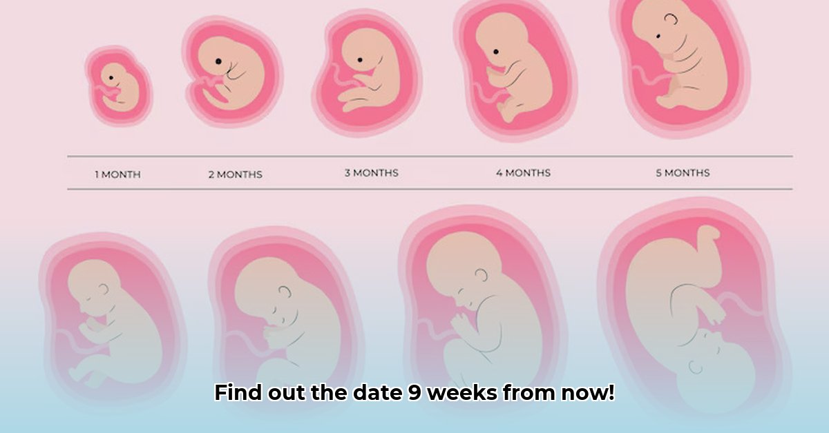 download-9-weeks-from-today